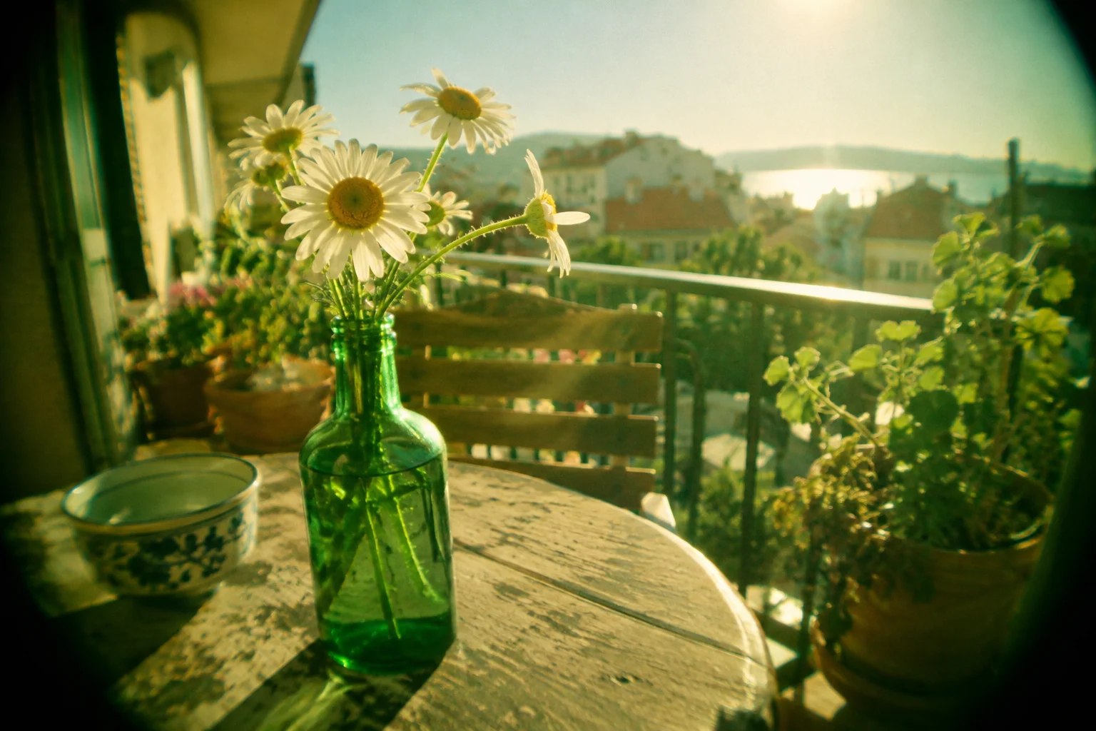 Loose daisies in a green glass bottle on a sunny balcony, cheap toy camera color photograph, green-yellow cast, glowing highlights, gentle barrel distortion and vignette.