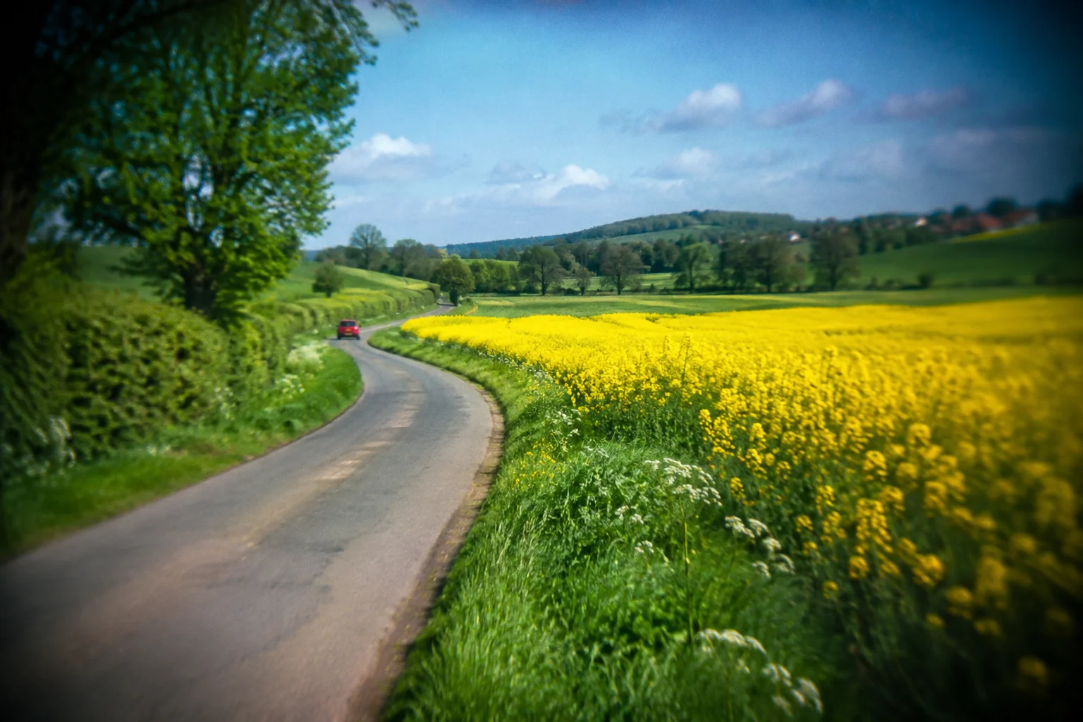 Country road curving past a yellow flower field with a distant small red car, cheap film toy camera optics, saturated greens, soft vignette, imperfect focus.